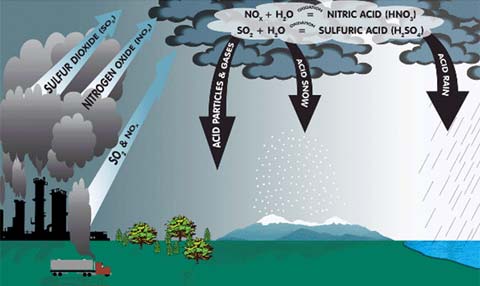 Mưa axit – hiểm họa ngày càng gia tăng (P1) Mưa axit – hiểm họa ngày càng gia tăng (P1)